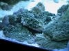 DSCN4716.jpg
