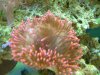 DSCN3229.JPG