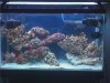 Full tank pic 2.jpg