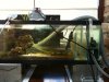 full sump.jpg