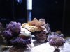 DSC01717.jpg