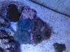 DSC01745.jpg