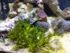 DSC01760.jpg
