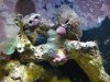 DSC01763.jpg