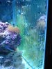 camdump-5-20-10 033.jpg