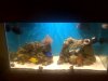 IMG00222-20100522-0844.jpg