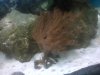 IMG00224-20100522-0845.jpg