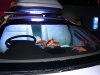 unique-car-aquarium.jpg