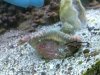 20100526_001.jpg