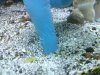 20100526_002.jpg