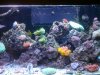 20100526_005.jpg