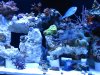 IMG_1287.JPG