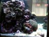 left side of tank.jpg