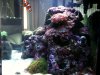 right side of tank.jpg