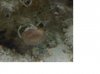 whatisthis.jpg