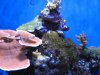 IMG_1884.JPG