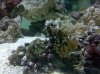 2010-06-07 19.00.55.jpg