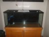 90g1 005.jpg