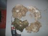 90g1 006.jpg