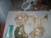 90g1 007.jpg