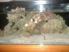 90g1 014.jpg