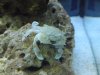 DSC01015.jpg