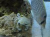 DSC01016.jpg