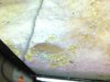DSC01646.jpg