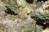 DSC01246.jpg
