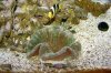 DSC01239_2.jpg