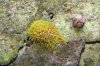 DSC01247.jpg