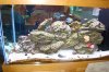 DSC01251.jpg