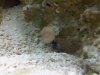 IMG00032-20100610-0830.jpg