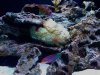 IMG00077-20100617-1725.jpg