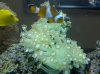 2010-06-18 12.37.23.jpg