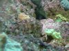 DSCF3172.jpg