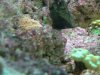 DSCF3173.jpg