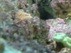 DSCF3174.jpg