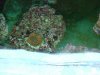 DSCF3177.jpg