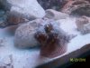 100_1371.jpg