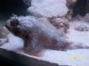 100_1373.jpg