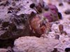 DSC01087.JPG