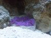 IMG00034-20100624-1724.jpg