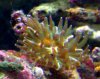 06242010-3.jpg