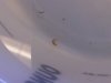 IMG00029-20100628-1504.jpg