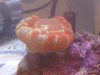IMG00032-20100628-1617.jpg