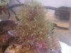 IMG00036-20100628-1618.jpg