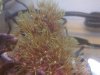 IMG00039-20100628-1748.jpg