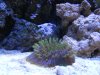 IMG_1477.JPG