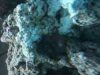 coral2.jpg